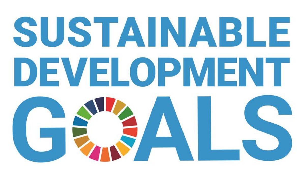 SDGs Logo der Sustainable Development Goals