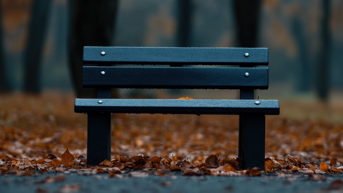 Leere schwarze Bank Leere schwarze Bank in der Natur