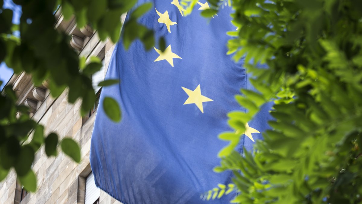 WeitBlick EU-Taxonomie Das Foto zeigt eine EU-Flagge, die hinter Bäumen hervorscheint
